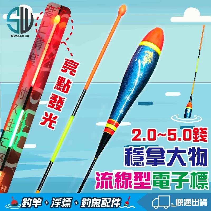穩拿大物 磯釣電子浮標(亮點發光)（第 3 張）